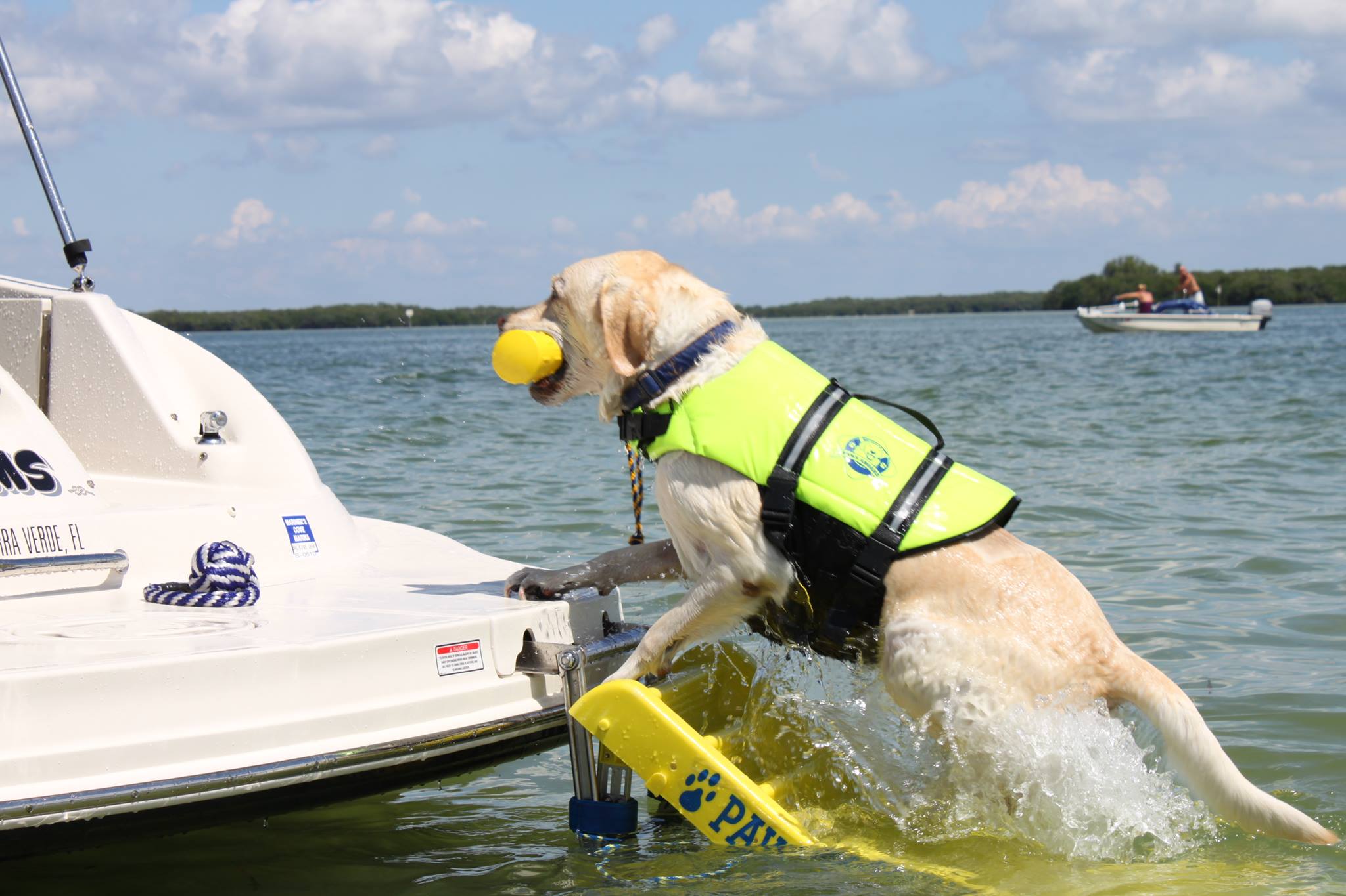 boat trips with dogs near me