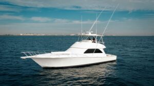 Best sportfishing boats, viking